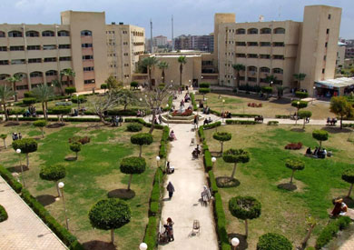 جامعة دمياط